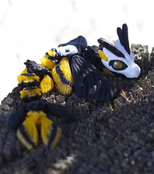 Death’s head moth dragon- baby